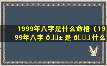 1999年八字是什么命格（1999年八字 🐱 是 🐈 什么命格的人）